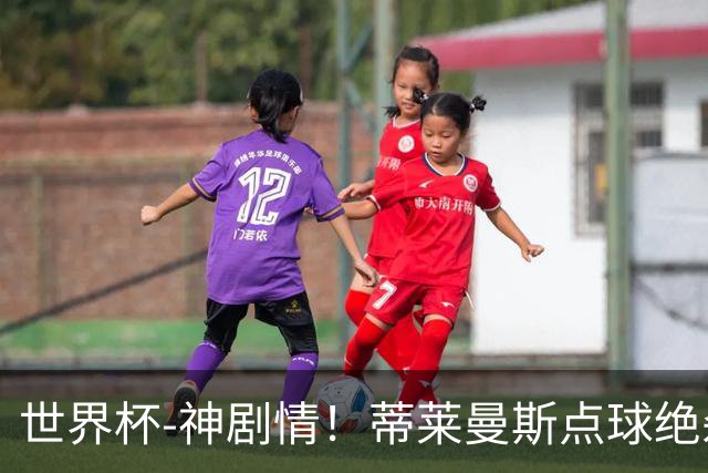 世界杯-神剧情！蒂莱曼斯点球绝杀 比利时加时3-2塞内加尔