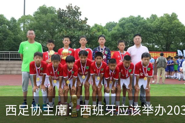 西足协主席：西班牙应该举办2030世界杯决赛，我们各方面条件最优